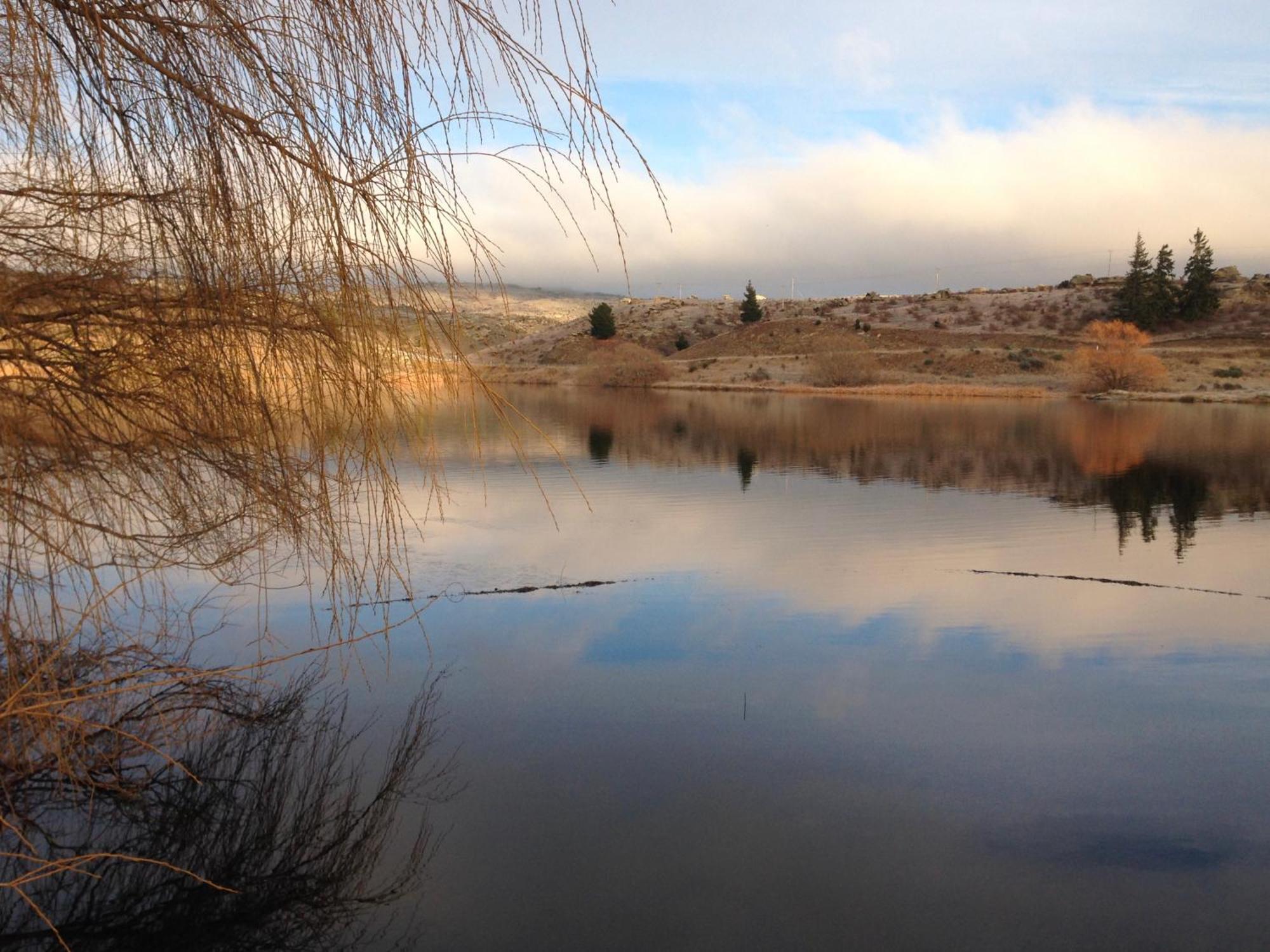 אלכסנדרה Lye Bow Lake Suite מראה חיצוני תמונה