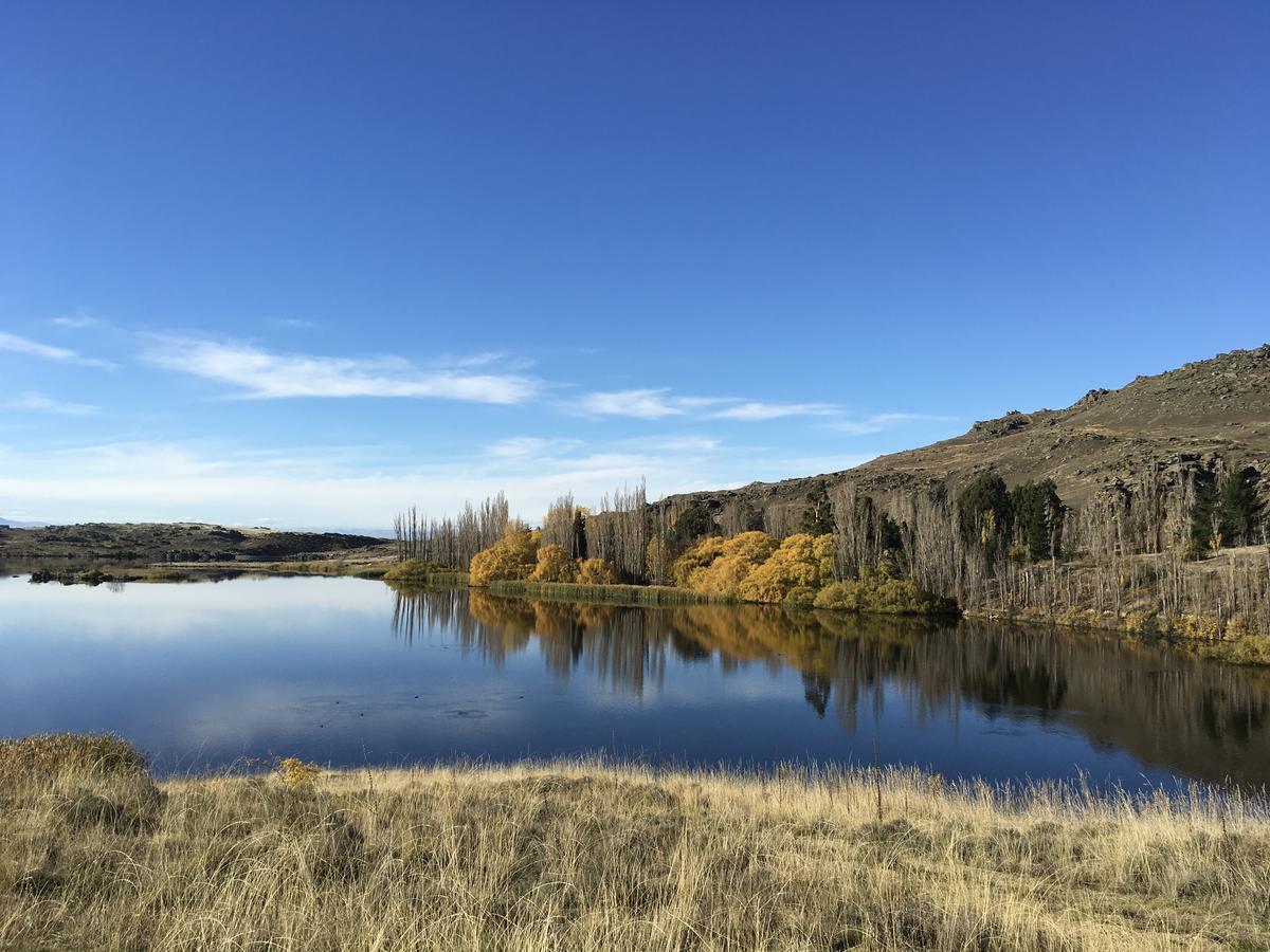 אלכסנדרה Lye Bow Lake Suite מראה חיצוני תמונה
